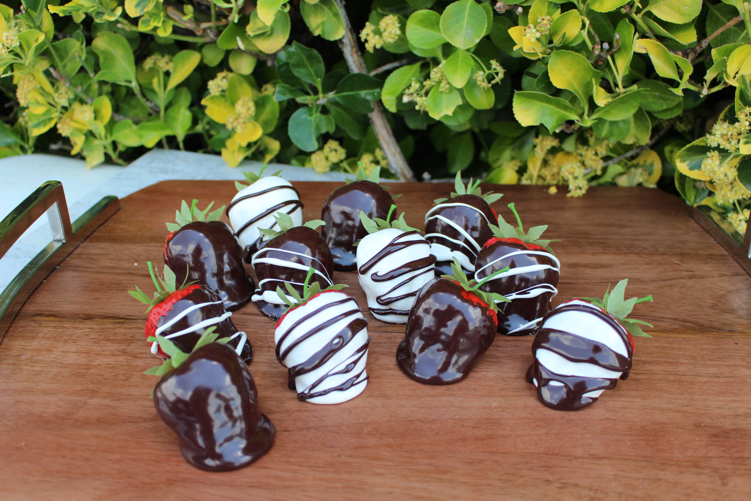 Fake Dipped Strawberries PEPPERMINT BARK JUMBO Set of 6 Prop Decoration 