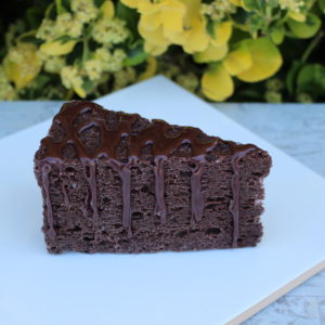 DRIZZLED CHOCOLATE CAKE SLICE 342