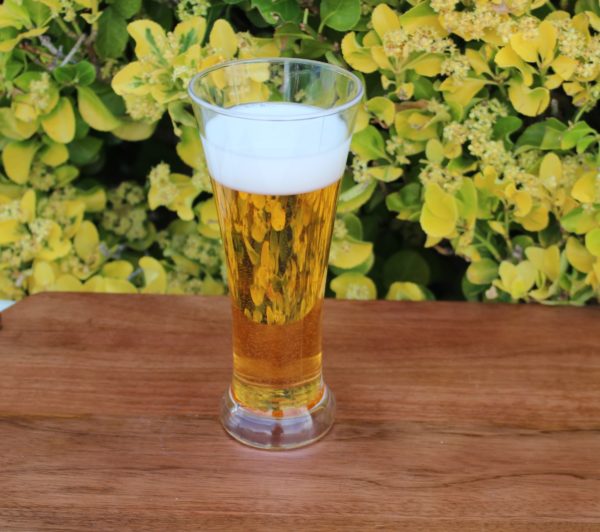 Fake beer glass