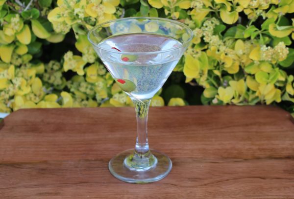 Fake Martini Glass