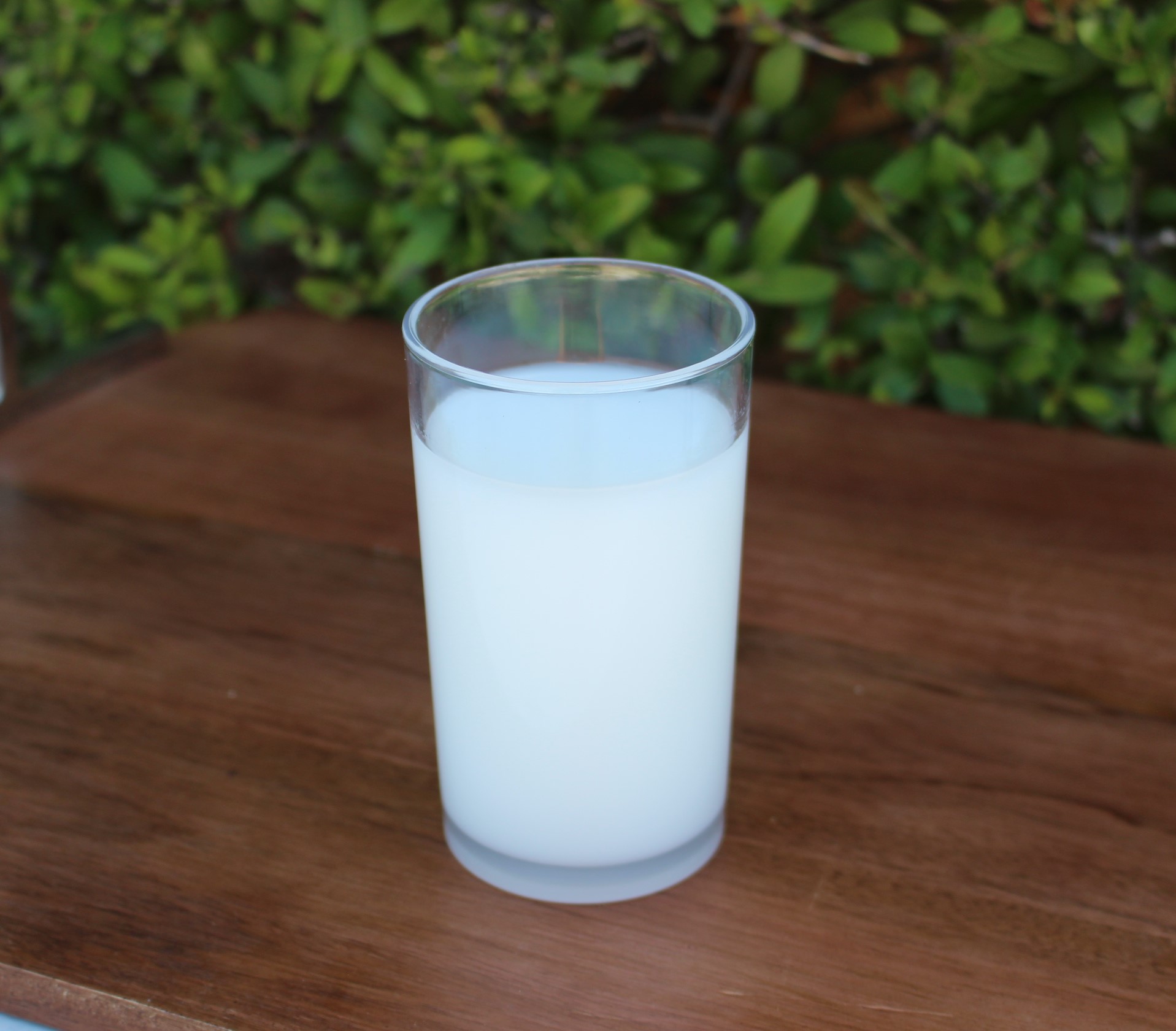 Fake Milk - Glass