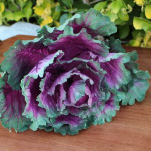 Fake Purple Cabbage Head