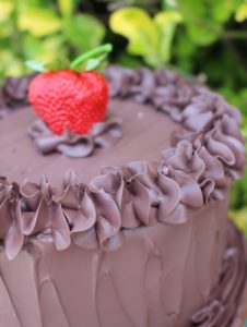 SML CHOCOLATE CAKE 305CU