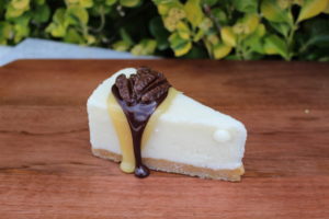 TURTLE CHEESECAKE 252T