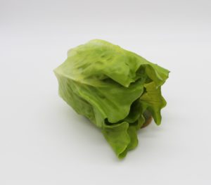 Small Green Romane Lettuce